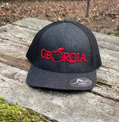 "Georgia Stretch Fit" by State & Co.