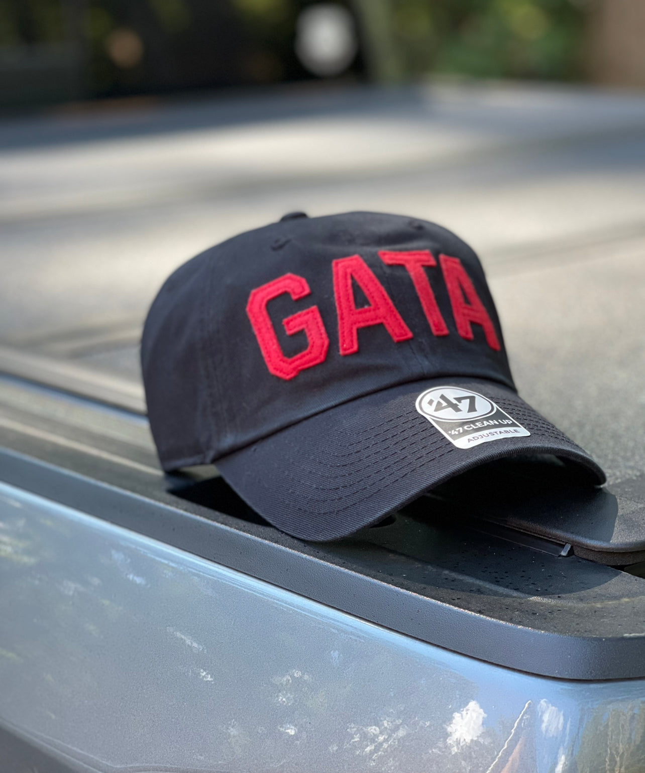 Georgia "GATA" 47' Brand Hat