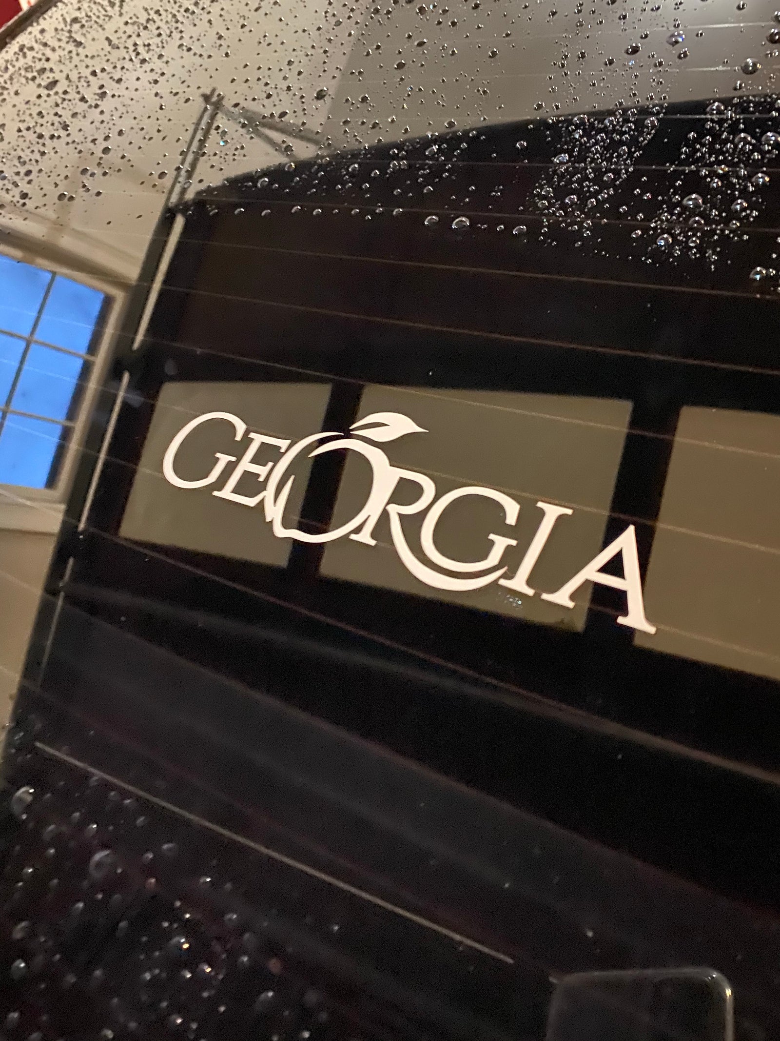 The Peach State - Decal by State & Co.